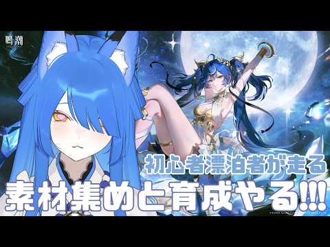 「Vtuberいばらっちと一緒に楽しむ鳴潮の魅力！」