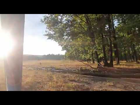 Frumusețea din Valea Nandrii