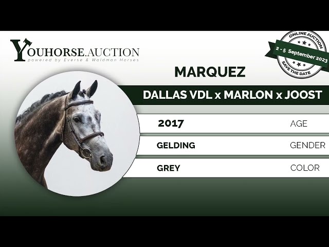 Marquez @ show
