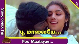 Pagal Nilavu Tamil Movie Songs  Poo Maalayae Video