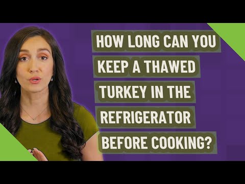 3rd YouTube video about how long can sliced turkey sit out