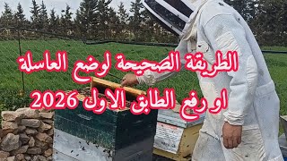 الطريقة الصحيحة لوضع العاسلة أو رفع الطابق الاول لخلية نحل جديد 2026
