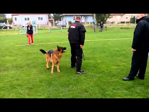 MNJK.Főtenyszemle.2014.10.04..Őv..