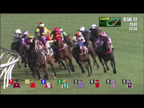 3/2/2021 (393) Shining On - Vincent Ho