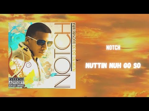 notch - nuttin nuh go so (432hz)