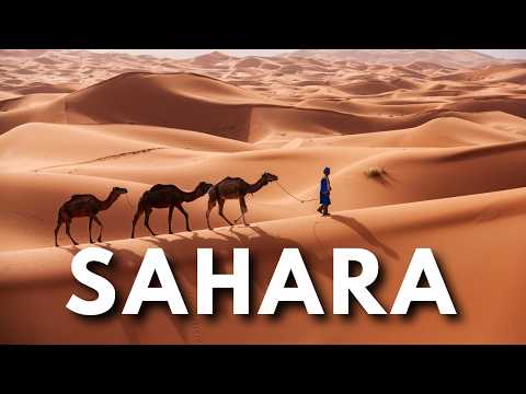 SAHARA-WÜSTE | Ein Land der Extreme - Komplette Dokumentation
