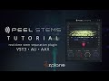 Video 3: Tutorial