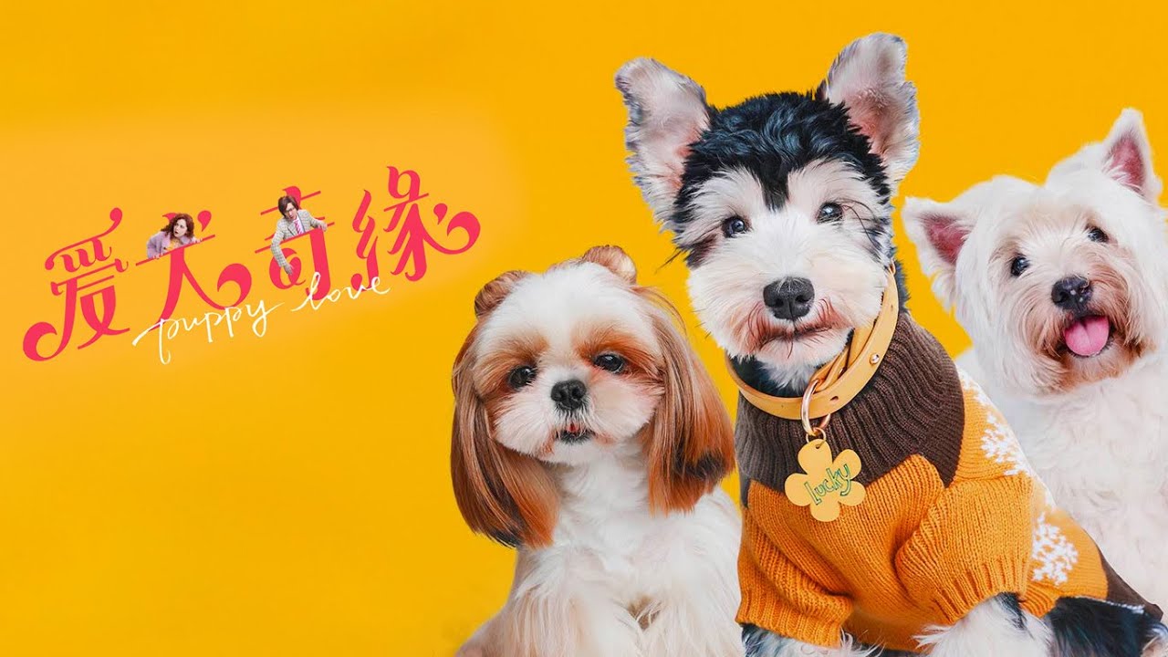 Puppy Love (2023) | Official Trailer | Cappu Films
