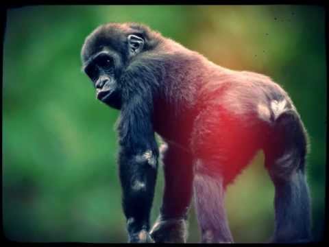 I Dance Electric video