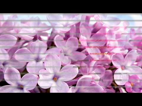 HAPPY BIRTHDAY MARTHA