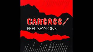 Carcass - Cadaveric Incubator Of Endo Parasites