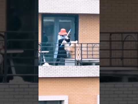 What Chinese do during period of coronavirus | fighting dog