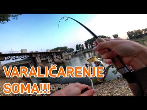 Varalicarenje Soma - Catfish Spinning - Waller Angeln