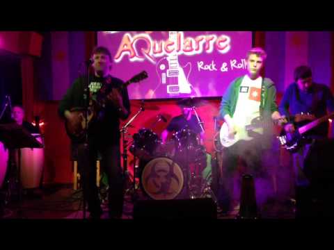 Miniatura de Perro Viejo