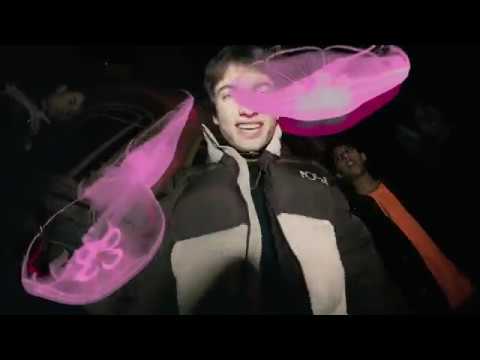 Video-Vorschau von {{ movie.title }}