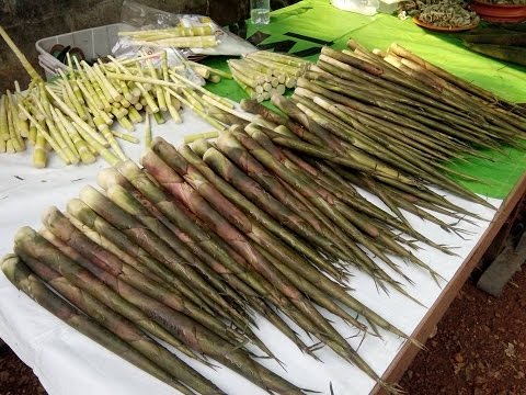 Laos market ,Wild Food Market in Laos