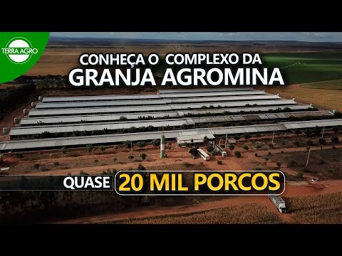 , title : 'GRANJA AGROMINA - CONHEÇA O FUNCIONAMENTO DA MAIOR GRANJA DE SUÍNOS DO NORTE NORDESTE'