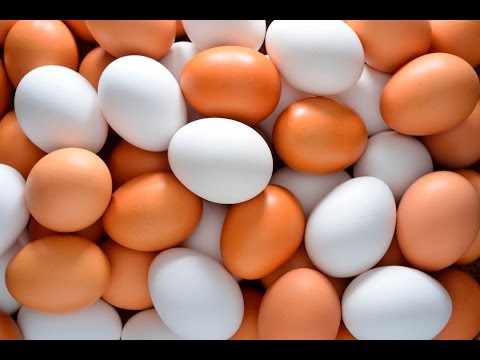 Chicken Laying Egg Close Up Live In Real Time.