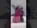 Crazy Broken Glass Bottle Of Telly From Sesame Street Tempoapp