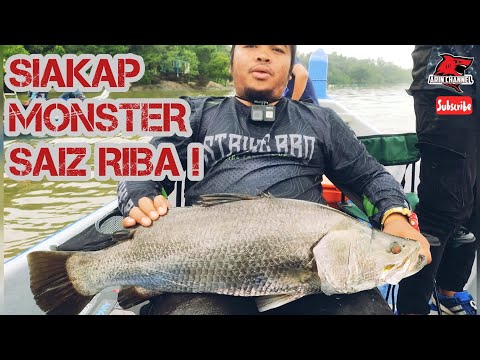 SIAKAP MONSTER SAIZ RIBA BERSAMA TEKONG TIKTOK VIRAL SHAH RIDZUAN! #siakap #pancing #castingfishing