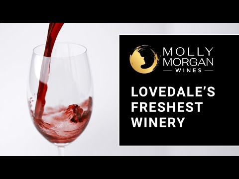 Molly Morgan Wines