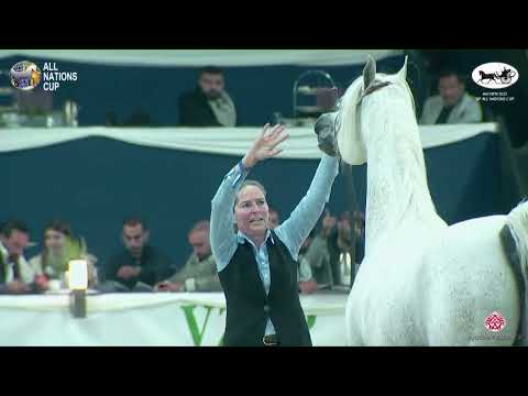 N 146 RP BURJ AL ARAB   AACHEN 2022   38° All Nations Cup   Stallions 7+ Years Old Class 11 12