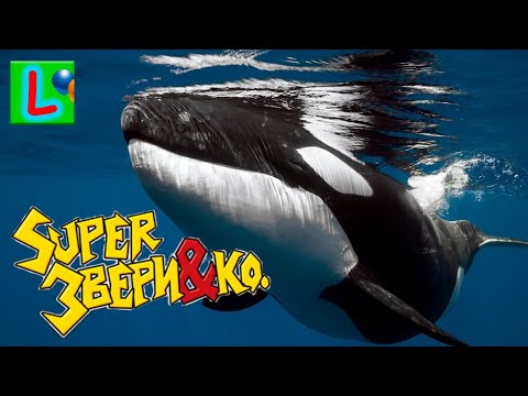 Deagostini Super ЗВЕРИ & Ко Макси КОСАТКА Деагостини распаковка Liska Show