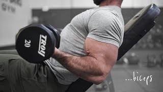 4 Amazing Bicep Exercises