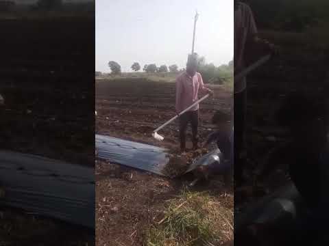 Mulching Paper