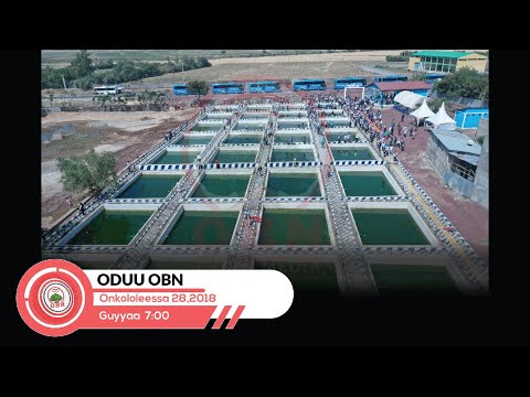 Oduu Guyyaa Sa'aatii 7:00 OBN Onkoloolessa 28,2018