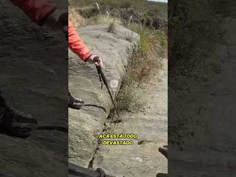 🌿 ENTRE MITO Y REALIDAD | EL ENIGMA DEL BAÑO DE LOS DIOSES