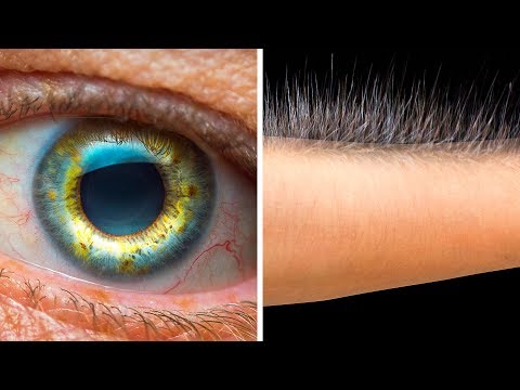 バーチャルリアリティで体に何が起こるか (What Happens to Your Body in Virtual Reality)