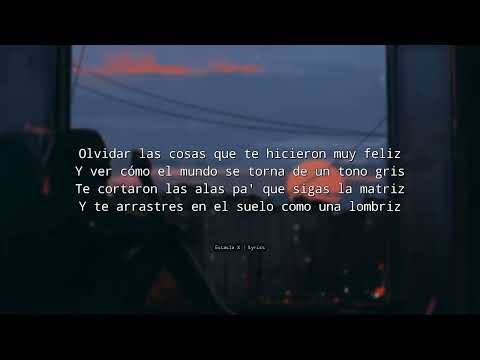 SHDW - Crecer (letra/Lyrics)