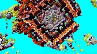 Filaments and Fractals