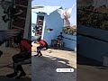 Kabutar Pakdane Ka Tricka Challenge Instagram Reels Pigeon Tkdpigeonloves Youtube Viral Shorts