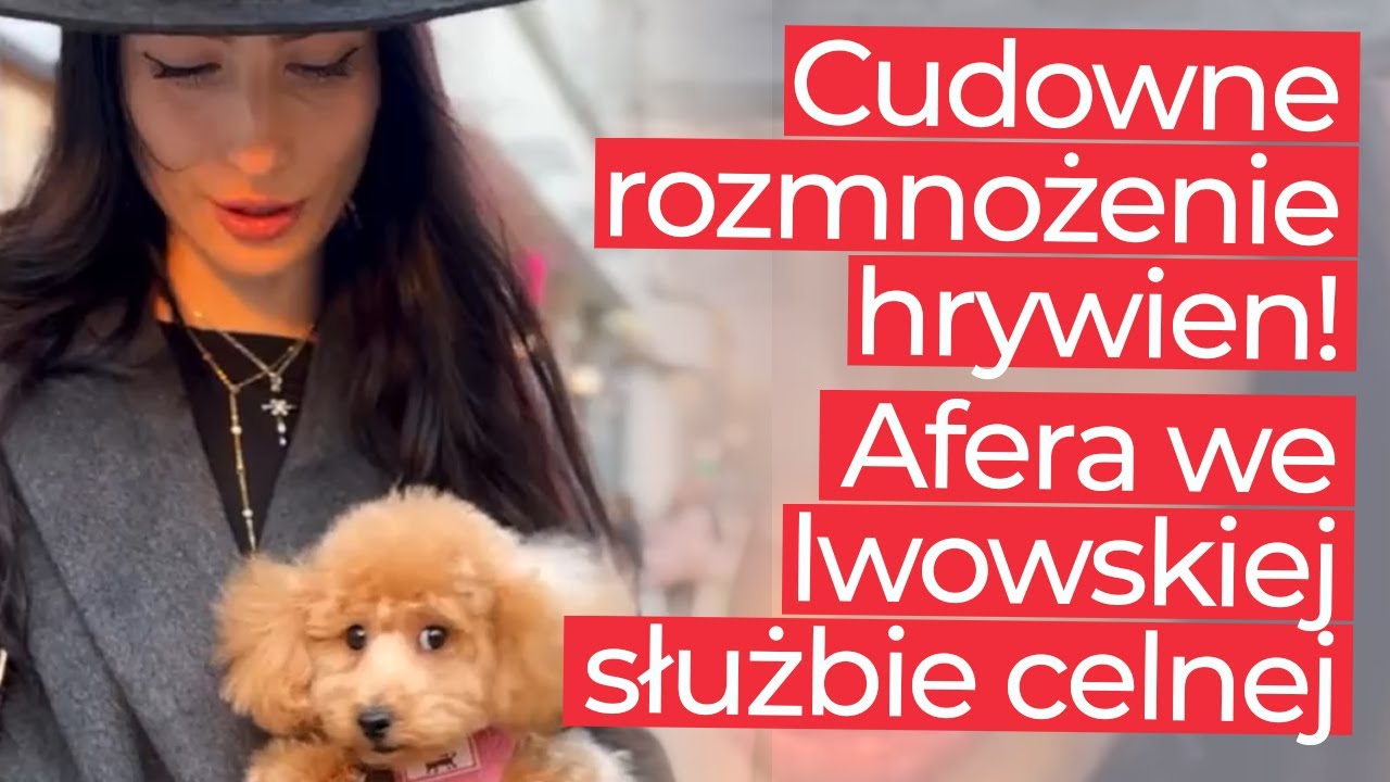 Afera we lwowskiej służbie celnej! Cudowne rozmnożenie hrywien!