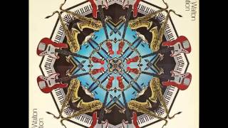 A FLG Maurepas upload - Cedar Walton - Precious Mountain - Jazz Fusion