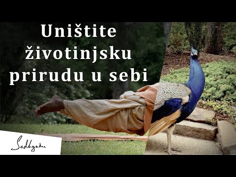 Savladajte životinjsku prirodu u sebi pomoću Joge | Sadhguru | Internacionalni dan Joge