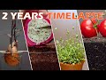 TOP 32 Most Beautyful Timelapse I Ve Ever Seen In 30 Mins