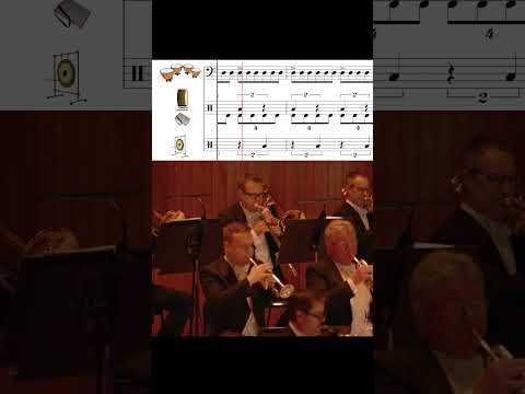 Stravinsky: Rite of Spring – excerpt #classicalmusic #halloween #orchestra