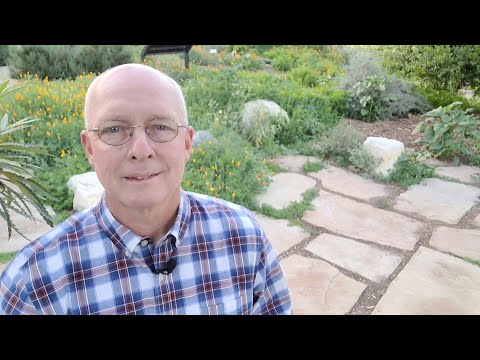 John 12:44-50 • A Call to Faith