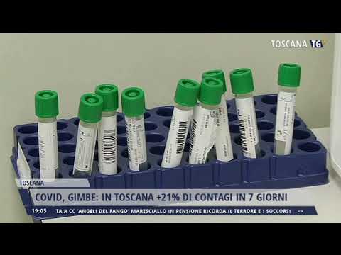 2021-11-04 TG REGIONALE ORE 19.00