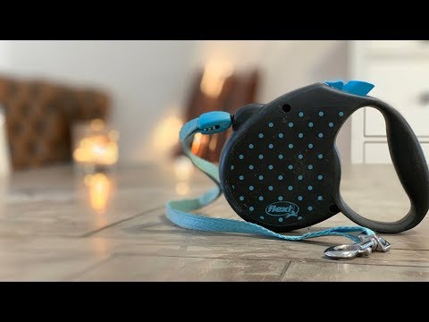 Why Do Dog Trainers HATE Retractable leashes?