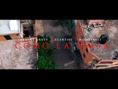 Como La Onza - Bryant Grety ❌ Z Cartiel ❌ Musa Street ( PREVIEW )