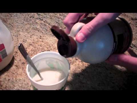download lagu mp3 mp4 Maple Milk, download lagu Maple Milk gratis, unduh video klip Maple Milk