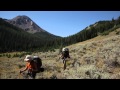 Ancient Limber Pine Perhaps Oldest Living Thing In Oregon Leads To Adventure For Twin Brothers