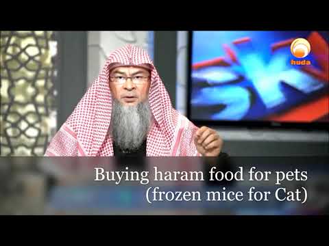 Buying Haram food for pets (Frozen Mice for Cats) - Assim al hakeem