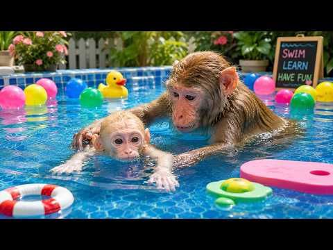 Bibi Monkey Today