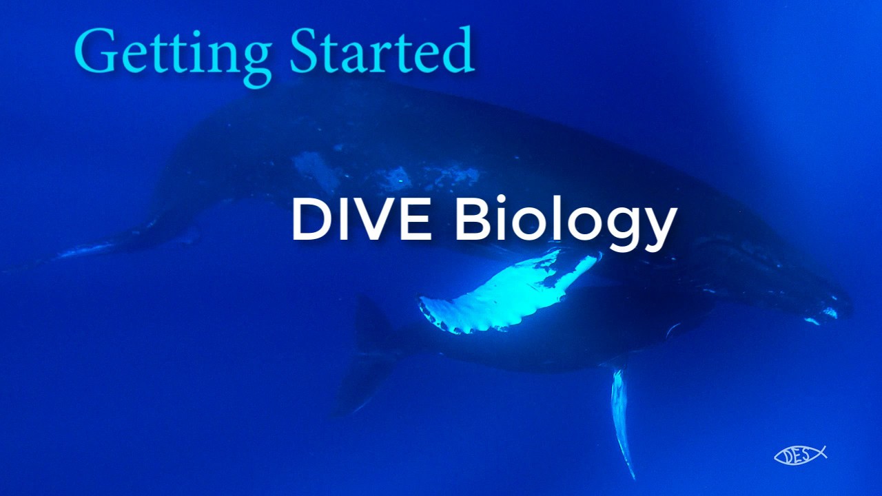Getting Started: DIVE eLearning Biology