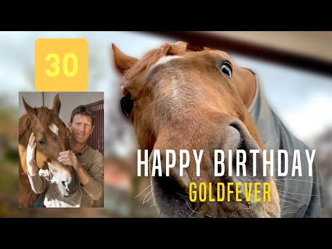 Happy Birthday Goldfever 💛 | 30 Jahre alt 😱 | Madeleine Winter-Schulze gratuliert!